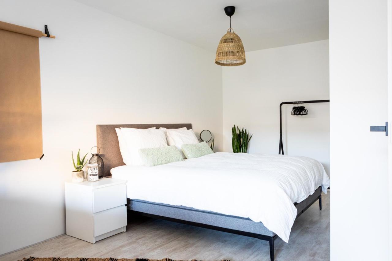 Studio Puuur Zandvoort Εξωτερικό φωτογραφία