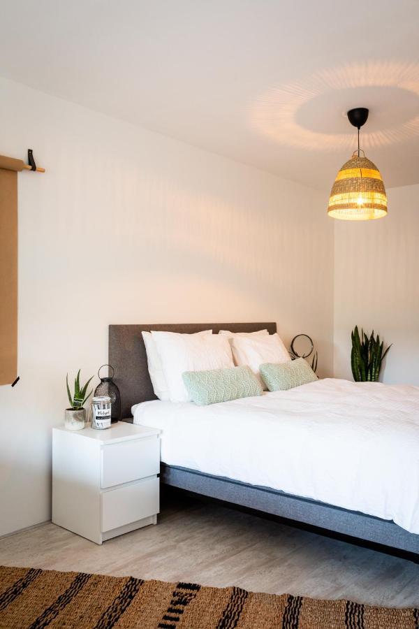 Studio Puuur Zandvoort Εξωτερικό φωτογραφία